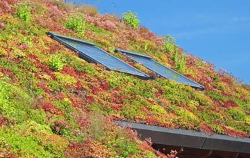 Stockland Bristol living roof systems